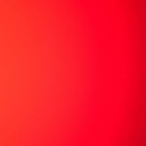 Meet your Posher, Bob